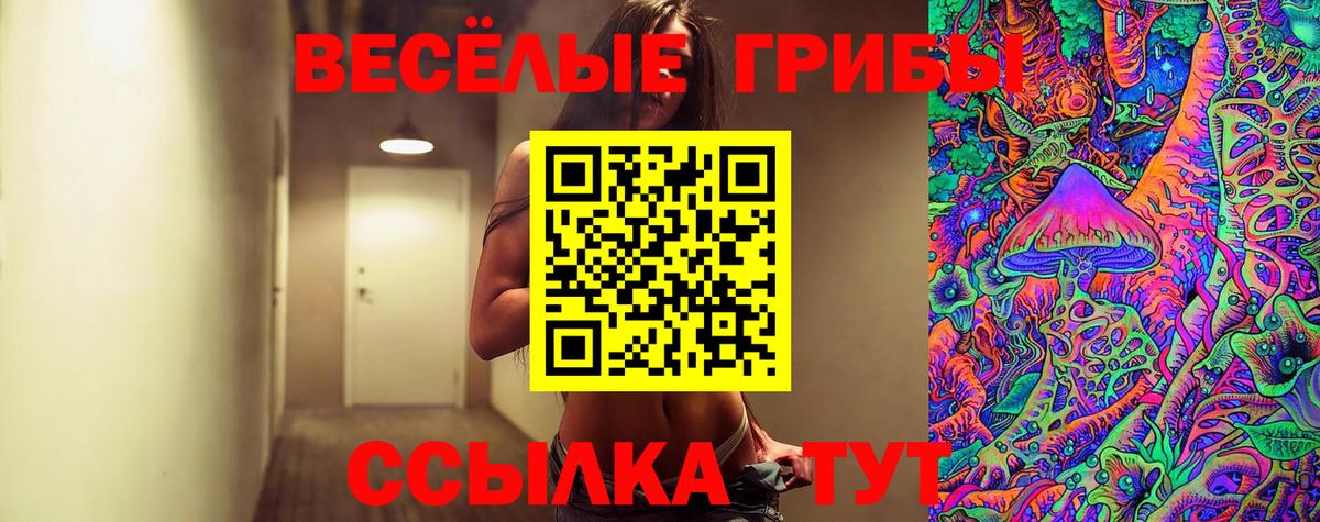 Галлюциногенные грибы Cubensis  Вход с VPN  Галлюциногенные грибы MAGIC MUSHROOMS  Барнаул 
