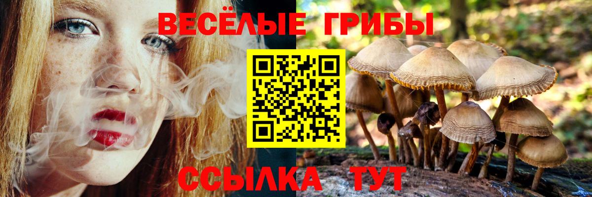 Псилоцибиновые грибы мицелий Барнаул